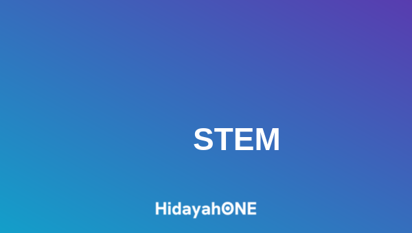 STEM Academy